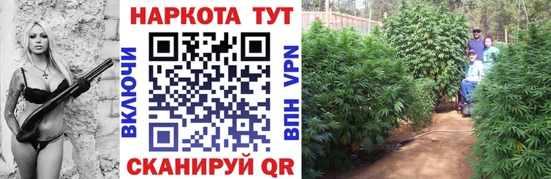Купить Баксан ГАШ  Alpha PVP  Мефедрон 