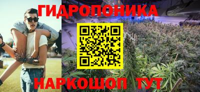 спиды Аргун