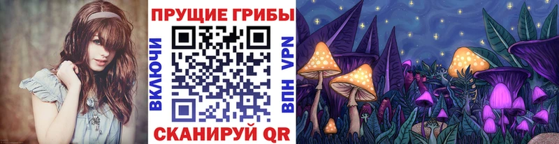 Псилоцибиновые грибы GOLDEN TEACHER  Баксан 