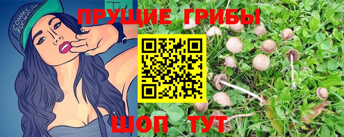 Галлюциногенные грибы Magic Shrooms  Вход с VPN  Баксан  Псилоцибиновые грибы мицелий 